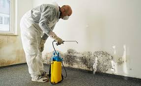 Best Residential Mold Inspection & Testing  in Roland, OK