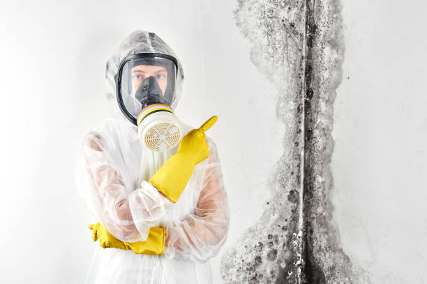 Best Environmental Consulting for Mold Prevention  in Roland, OK