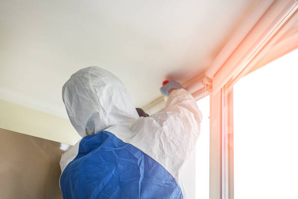 Best Basement Mold Removal  in Roland, OK