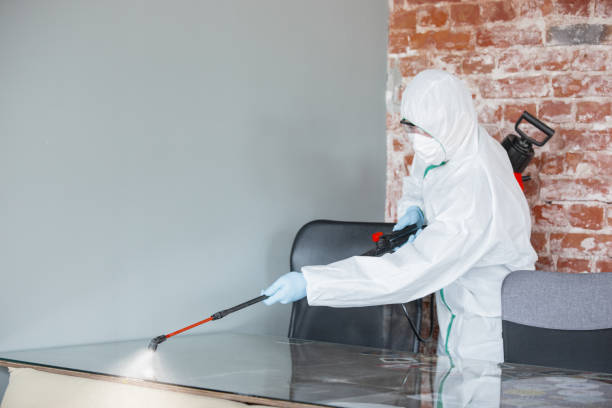 Best Industrial Mold Remediation  in Roland, OK