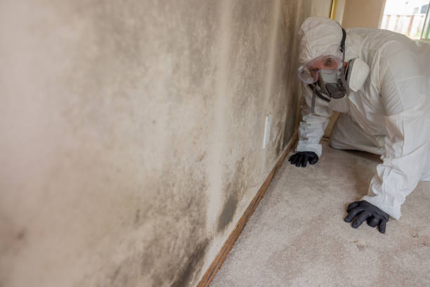 Best Industrial Mold Remediation  in Roland, OK